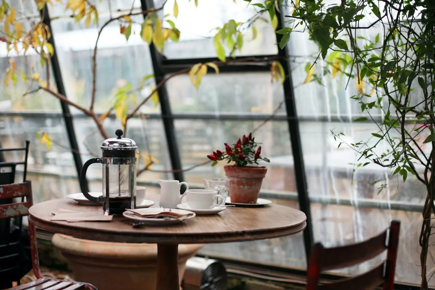 Sunlit cafe surrounded by greenery, with coffee and a French press on a wooden table